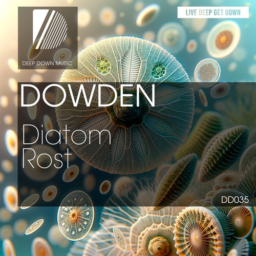 Dowden - Diatom [DD035]